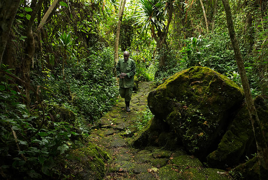 Buhanga, Rwanda’s sacred forest
