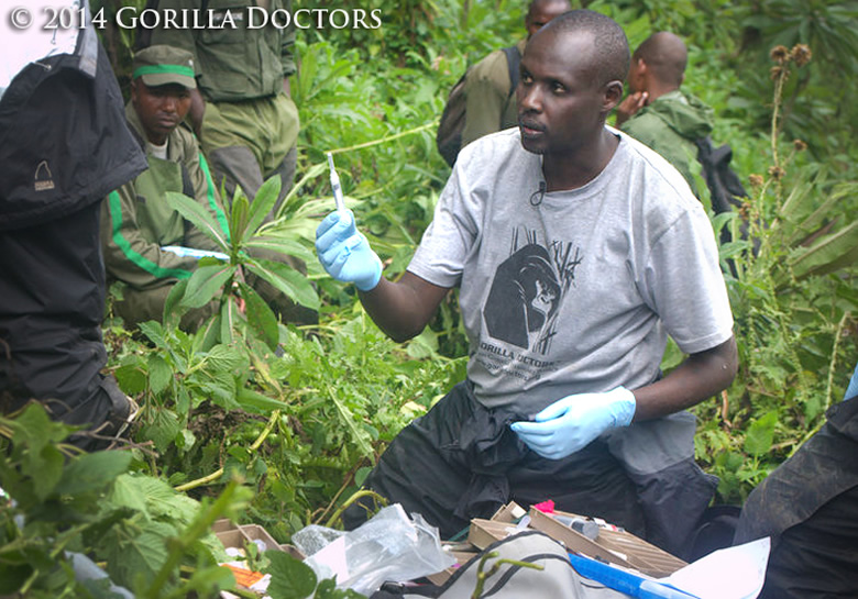Dr Kinani’s Penchant for Rescuing Rwanda’s Great apes from Extinction